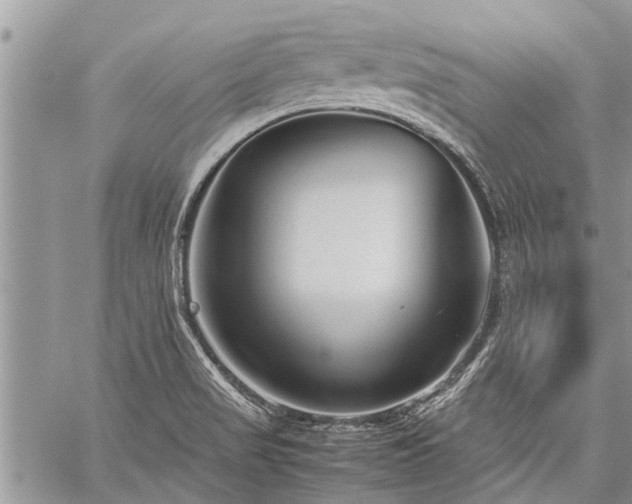 X0000059801517200510211039