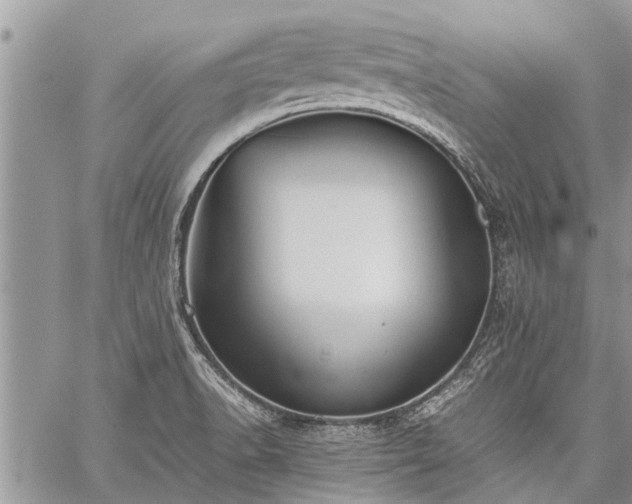 X0000059801518200510211039