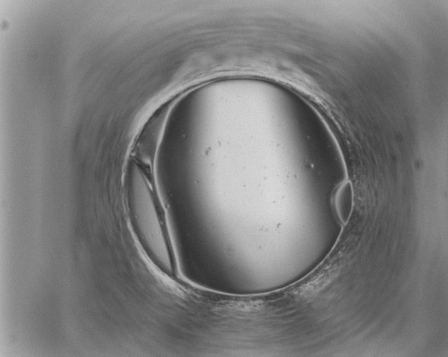 X0000059801519200510211039