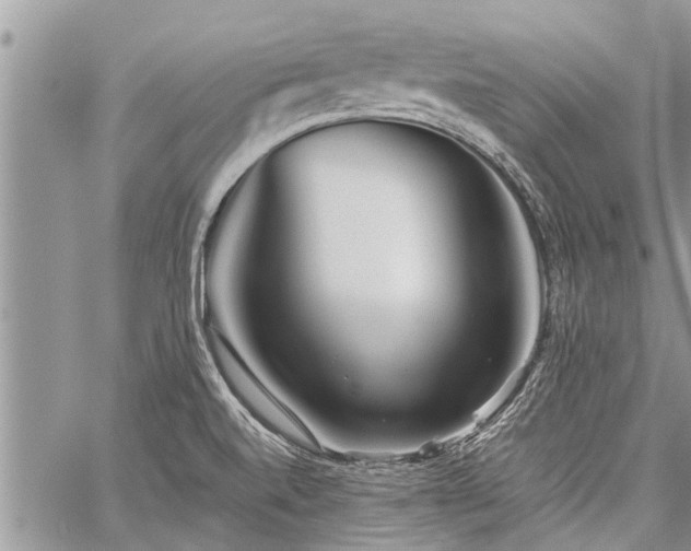 X0000059801520200510211039