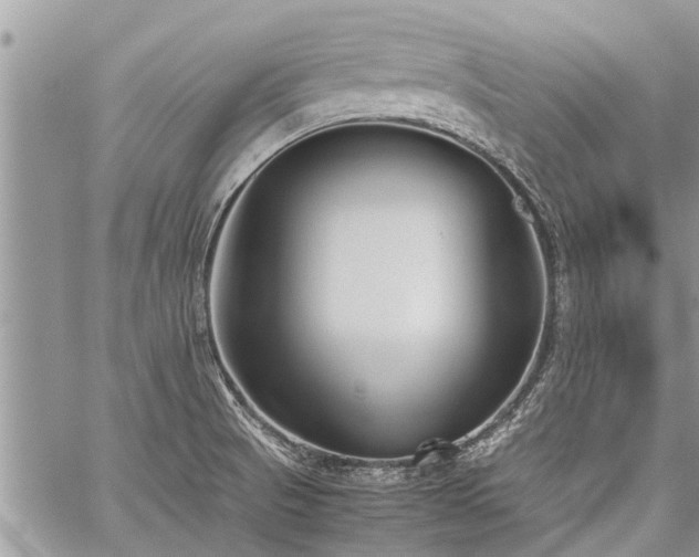 X0000059801521200510211039