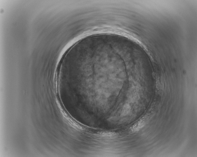 X0000059801522200510211039