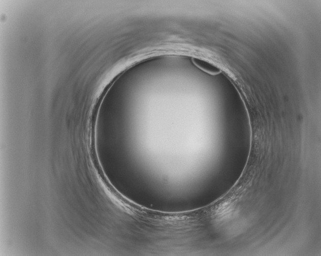 X0000059801523200510211039