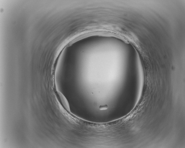 X0000059801524200510211039