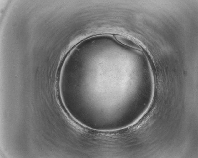 X0000059801525200510211039