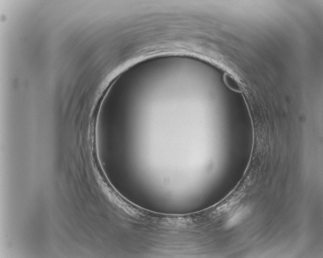 X0000059801526200510211039