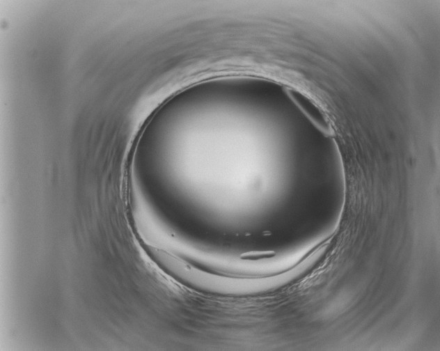 X0000059801527200510211039