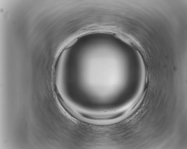 X0000059801528200510211039