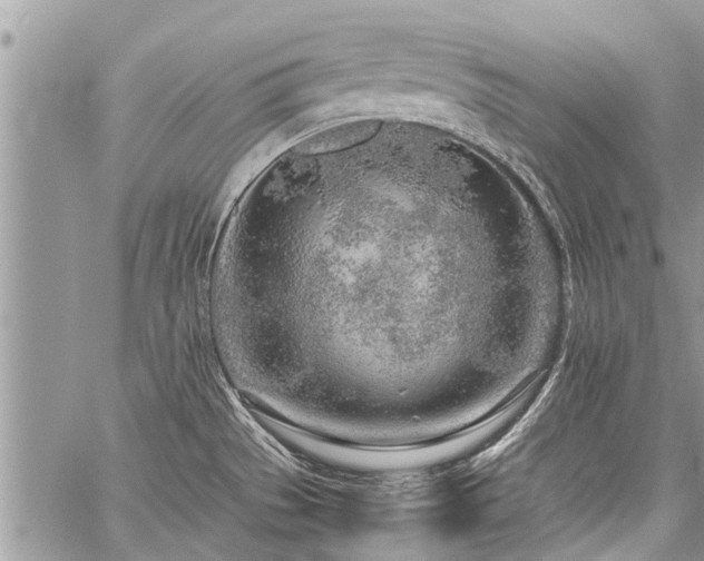 X0000059801529200510211039