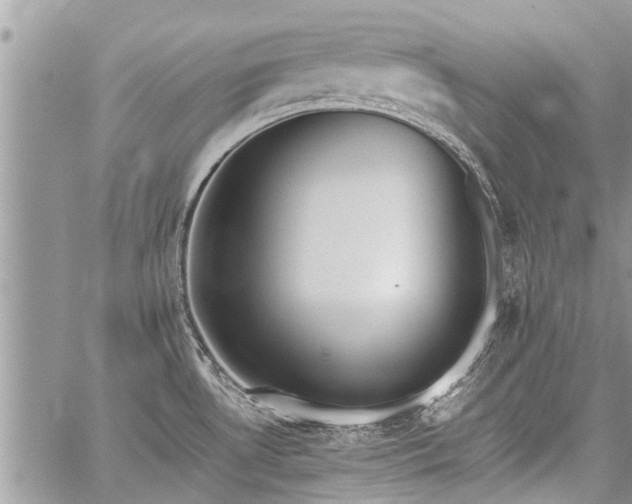 X0000059801530200510211039