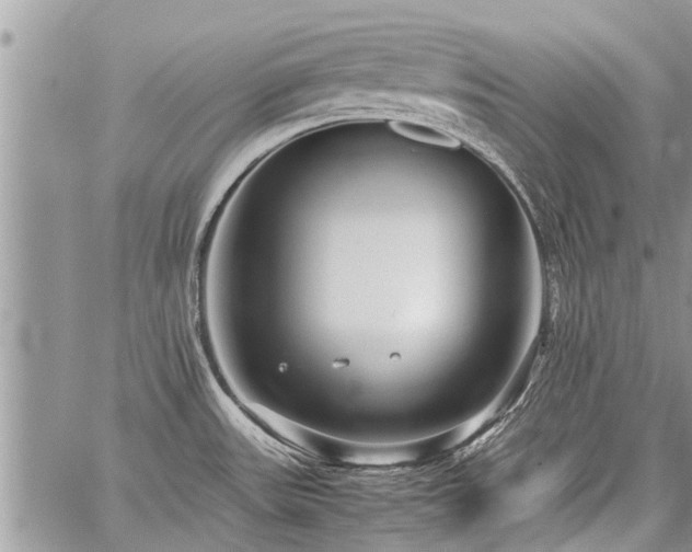 X0000059801531200510211039