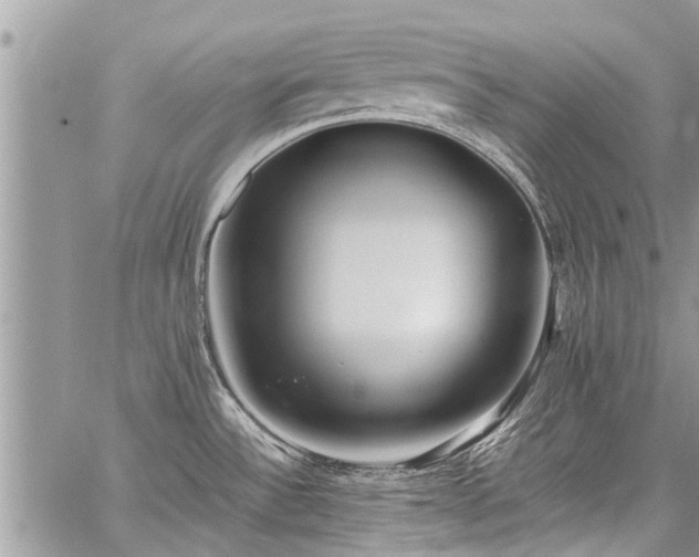 X0000059801532200510211039