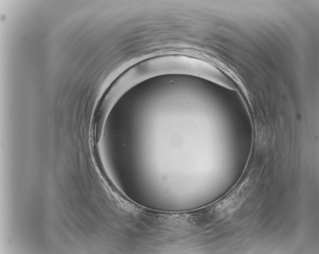 X0000059801533200510211039