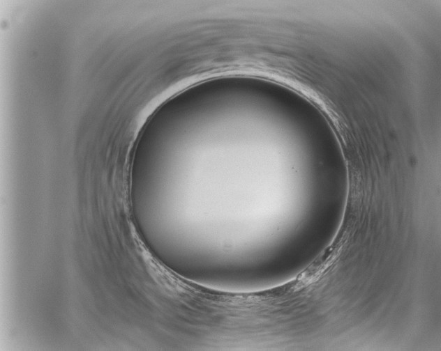 X0000059801534200510211039