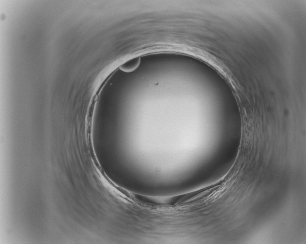 X0000059801535200510211039