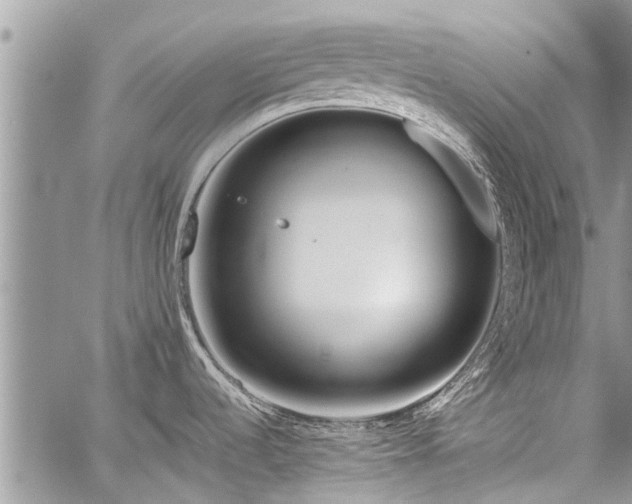 X0000059801536200510211039