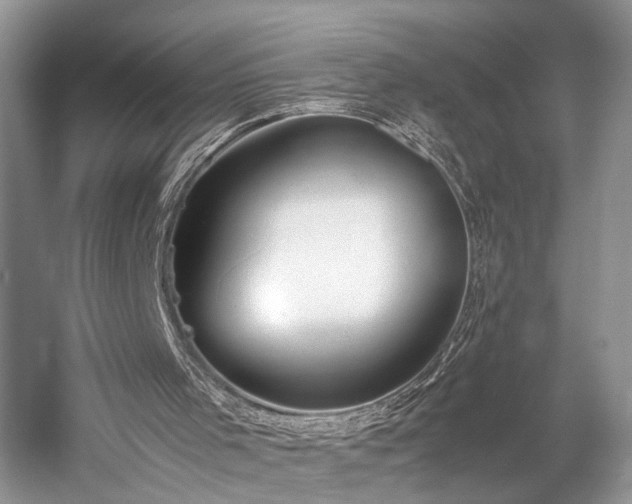 X0000059800001200510241341