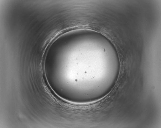 X0000059800002200510241341