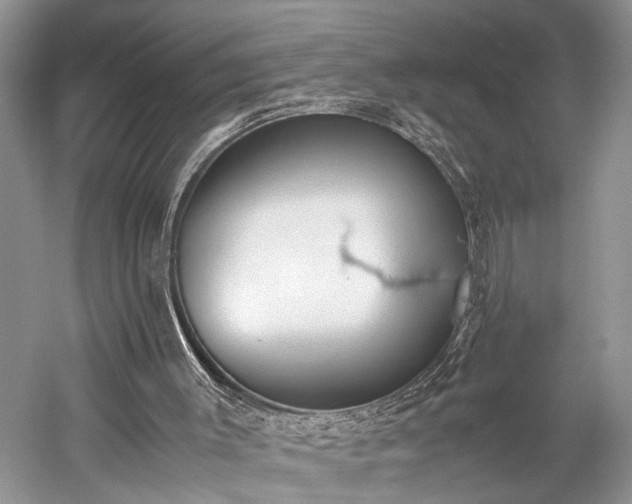 X0000059800003200510241341