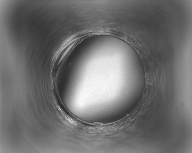 X0000059800005200510241341