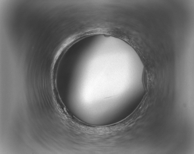 X0000059800006200510241341