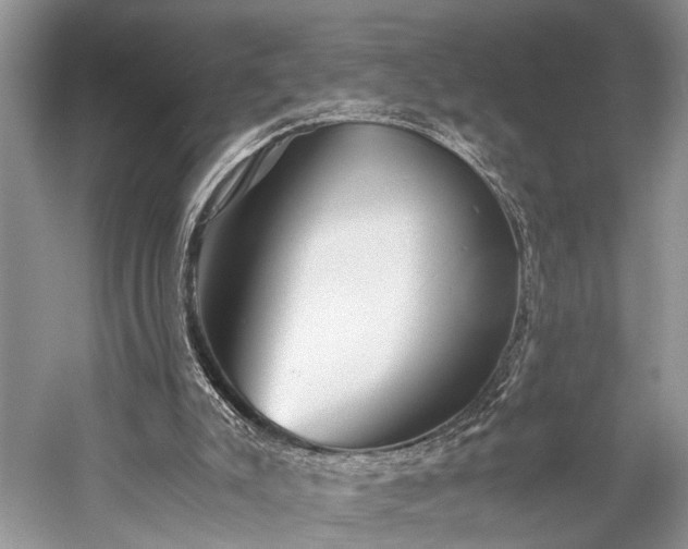 X0000059800007200510241341