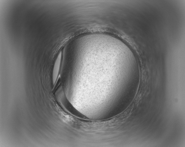 X0000059800009200510241341