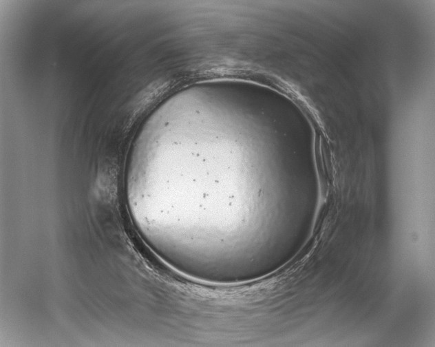 X0000059800010200510241341