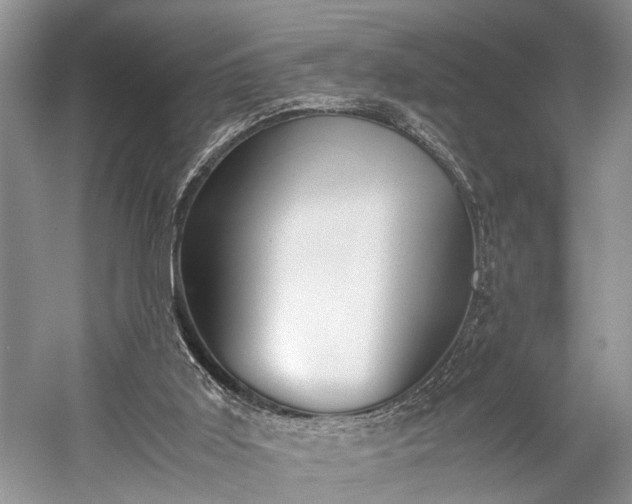 X0000059800011200510241341