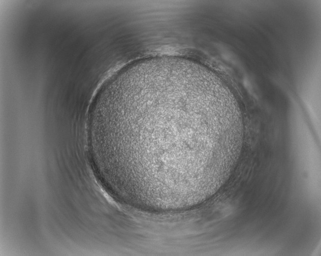 X0000059800012200510241341