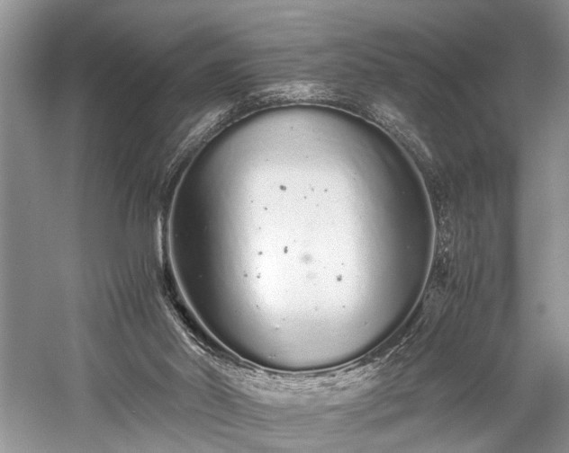 X0000059800014200510241341