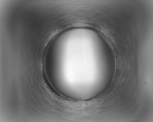 X0000059800015200510241341