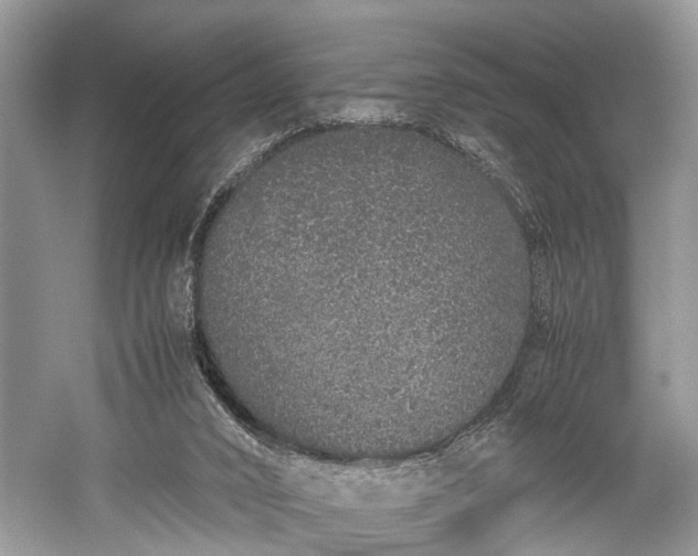 X0000059800016200510241341