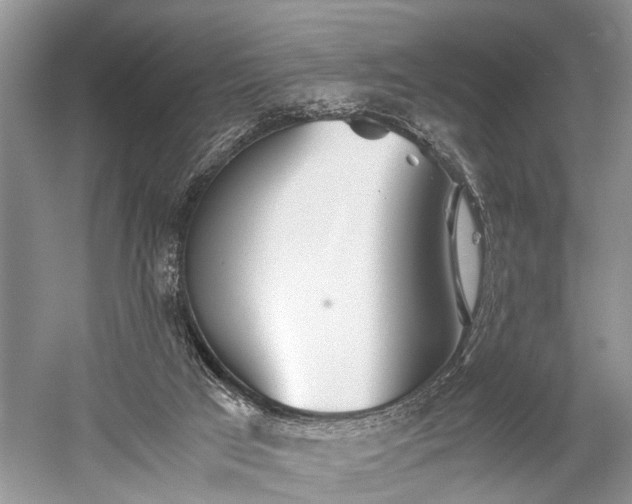 X0000059800017200510241341