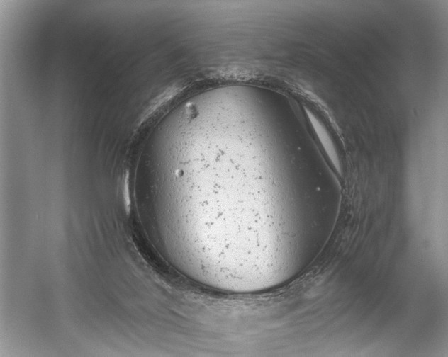 X0000059800020200510241341