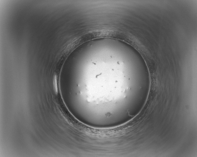 X0000059800022200510241341