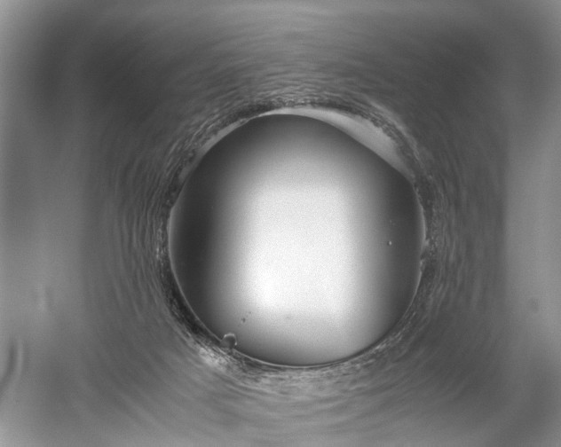 X0000059800025200510241341