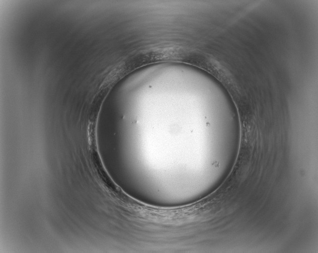 X0000059800026200510241341