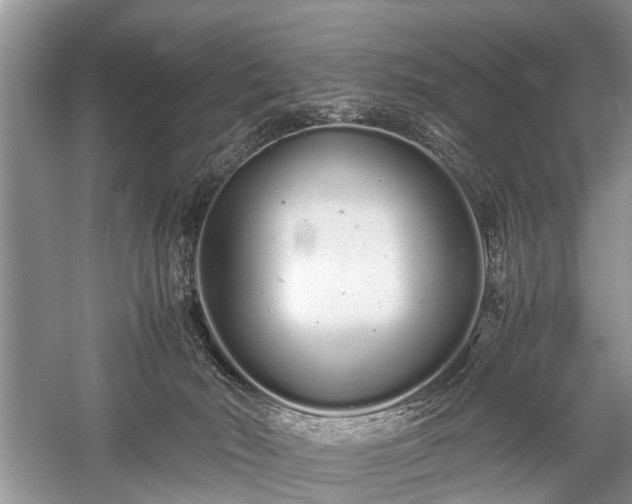 X0000059800030200510241341