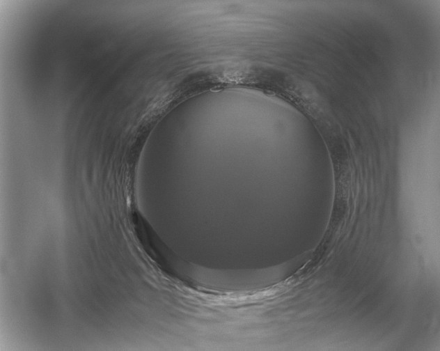 X0000059800031200510241341