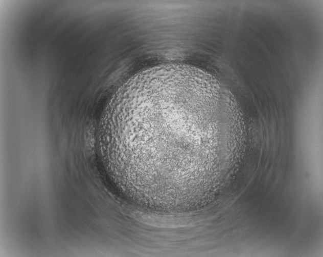 X0000059800032200510241341