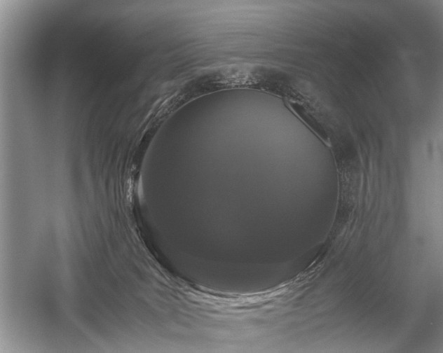 X0000059800035200510241341