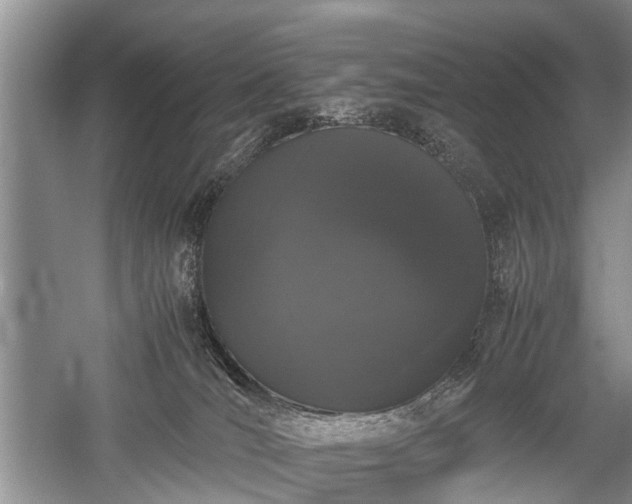 X0000059800036200510241341