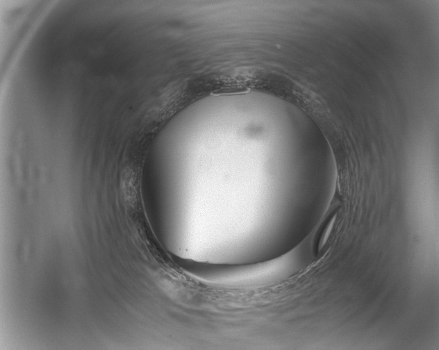 X0000059800037200510241341