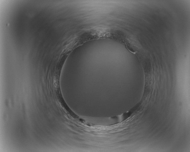 X0000059800039200510241341