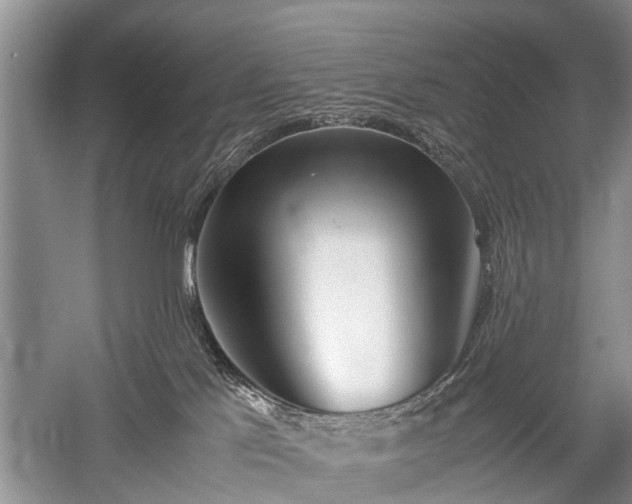 X0000059800041200510241341