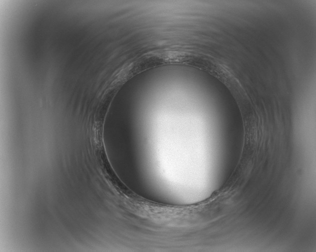 X0000059800044200510241341