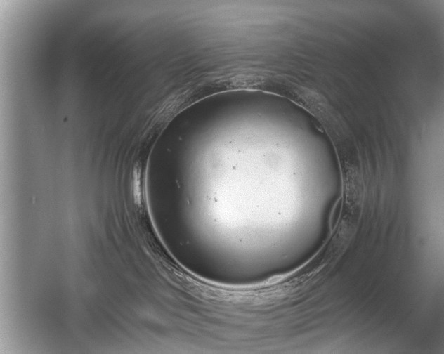 X0000059800046200510241341