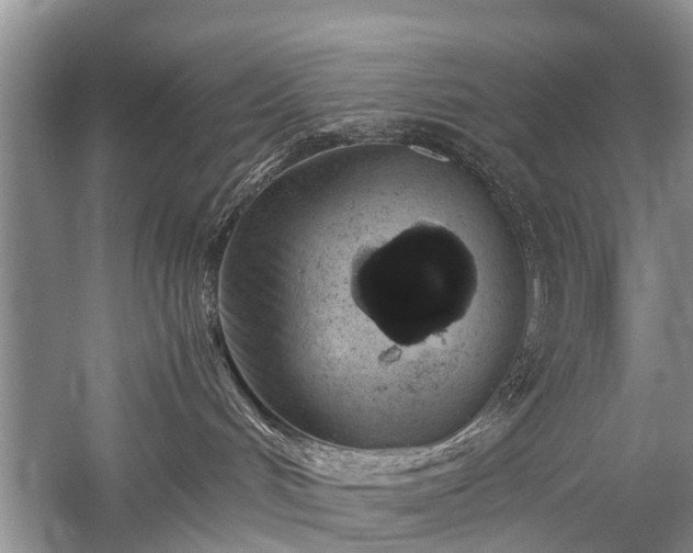 X0000059800048200510241341