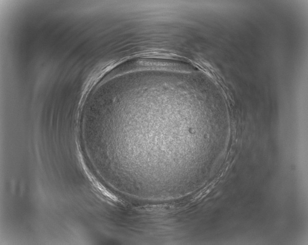 X0000059800049200510241340